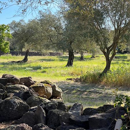 Muristene Pozzo Santa Cristina Paulilatino Eksteriør bilde