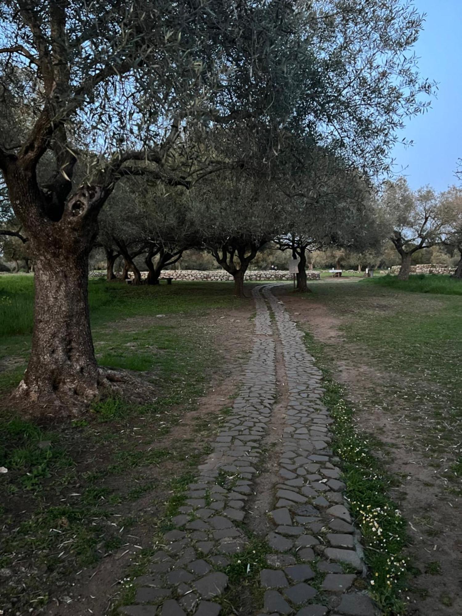 Muristene Pozzo Santa Cristina Paulilatino Eksteriør bilde