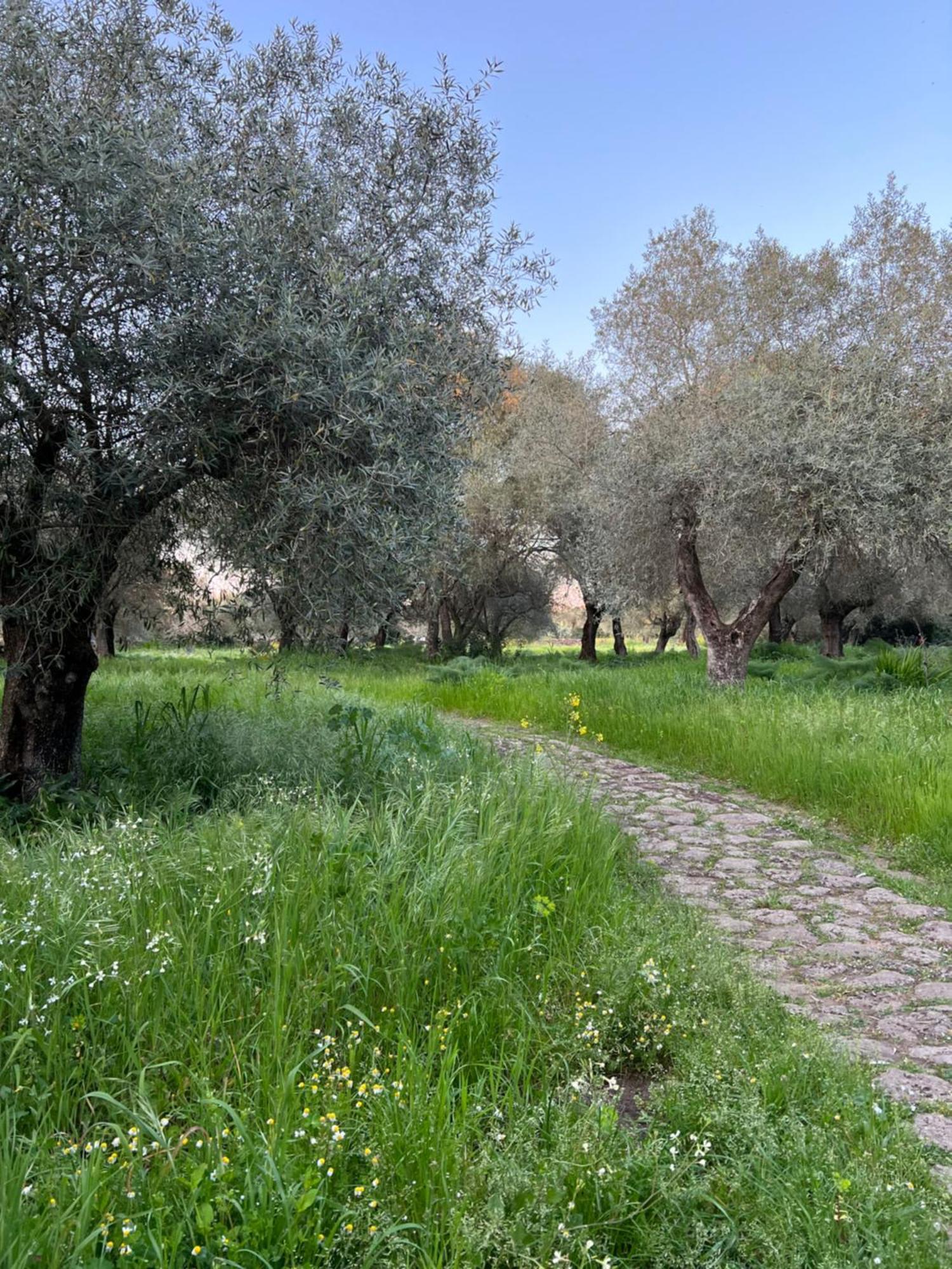 Muristene Pozzo Santa Cristina Paulilatino Eksteriør bilde